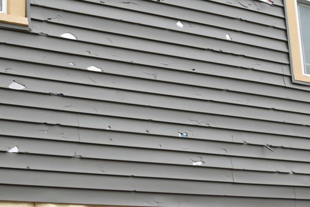 Best Shed Removal  in Agua Dulce, CA