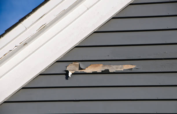 Property Management Cleanouts in Agua Dulce, CA